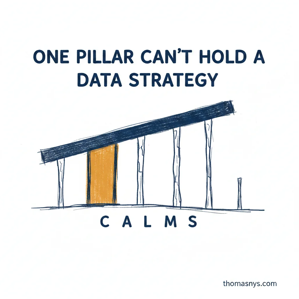 CALMS for Data Organizations